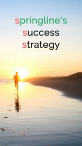 success_strata springline.in